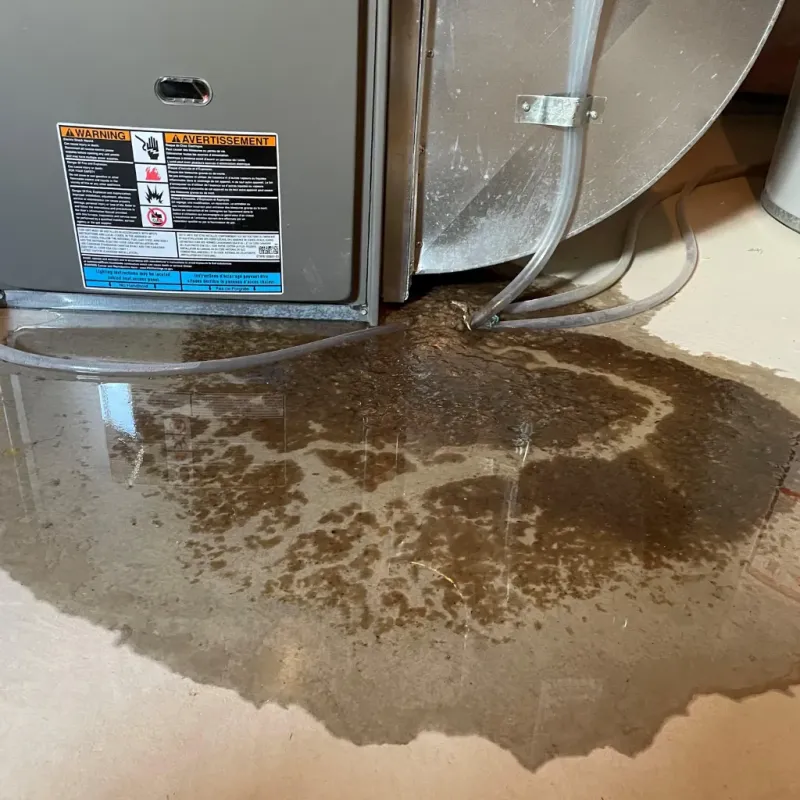 Appliance Leak Cleanup in Pulaski County, IN